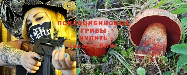 шишки Аркадак
