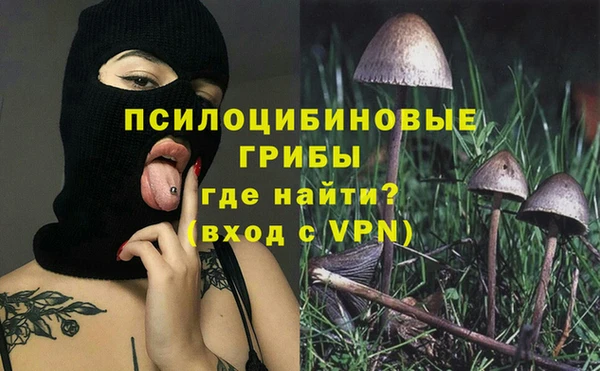 гидра Армянск