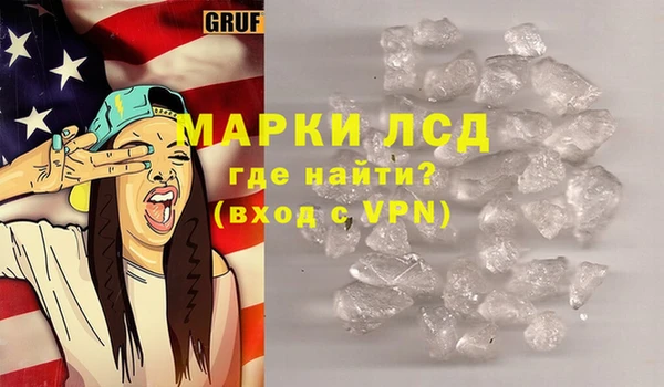 шишки Аркадак