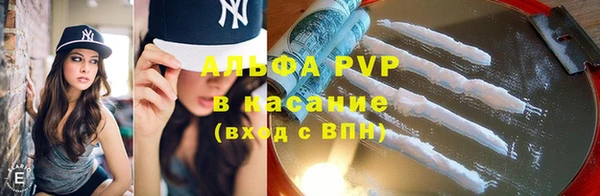 шишки Аркадак
